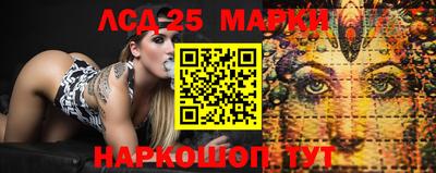 spice Обнинск