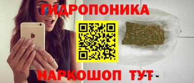 spice Обнинск